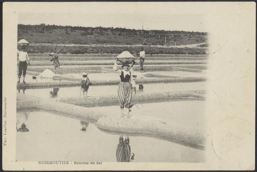 La récolte du sel dans les marais salants / Couillon phot. (vue 1) ; Breteau phot. (vues 2-3).